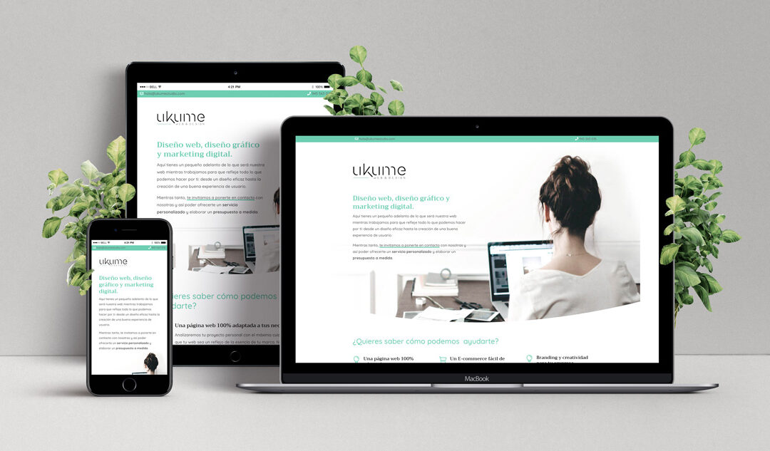 Diseño web responsive