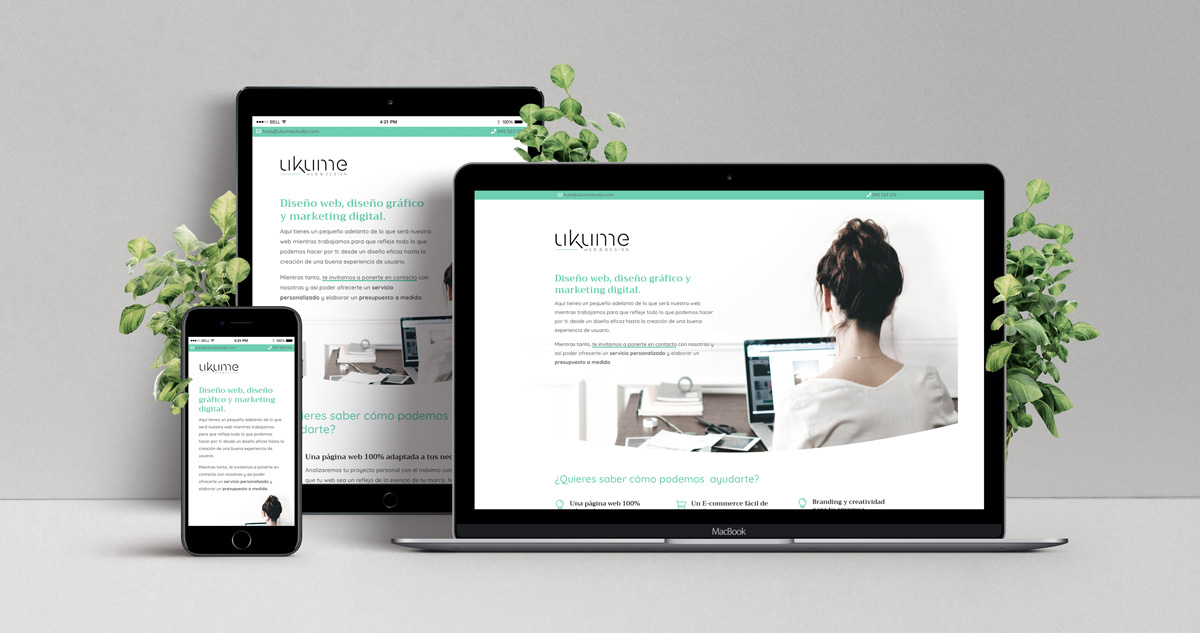 diseño-web-responsive-ukume-vitoria
