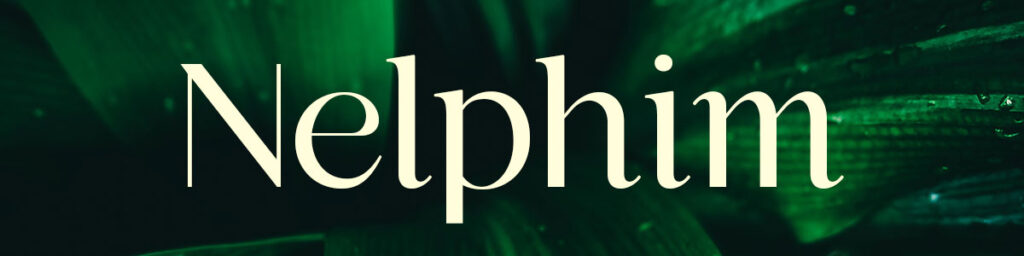 tipografias elegantes nelphim 25 tipografías elegantes para 2023 (actualizado)